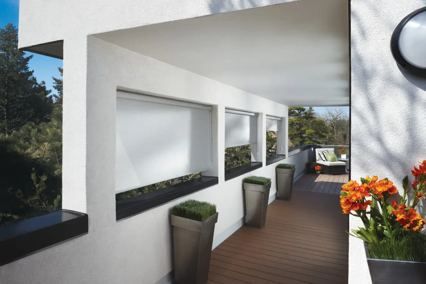 Designer Screen Shades