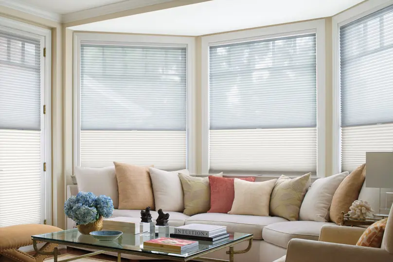 Duette Sheer in Living Room