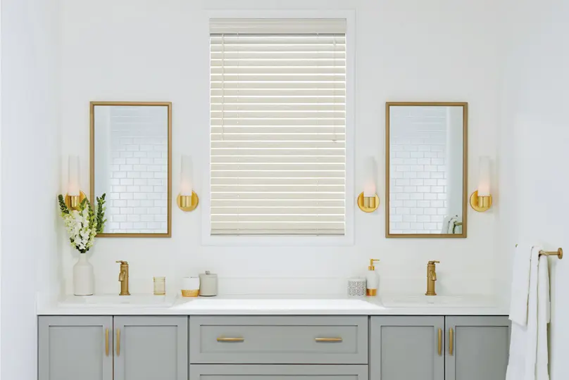 Bathroom Window Covering