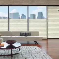 Hunter Douglas Shades