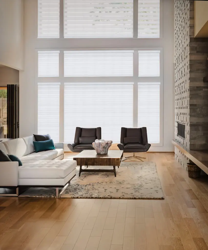 white dual shades on large window