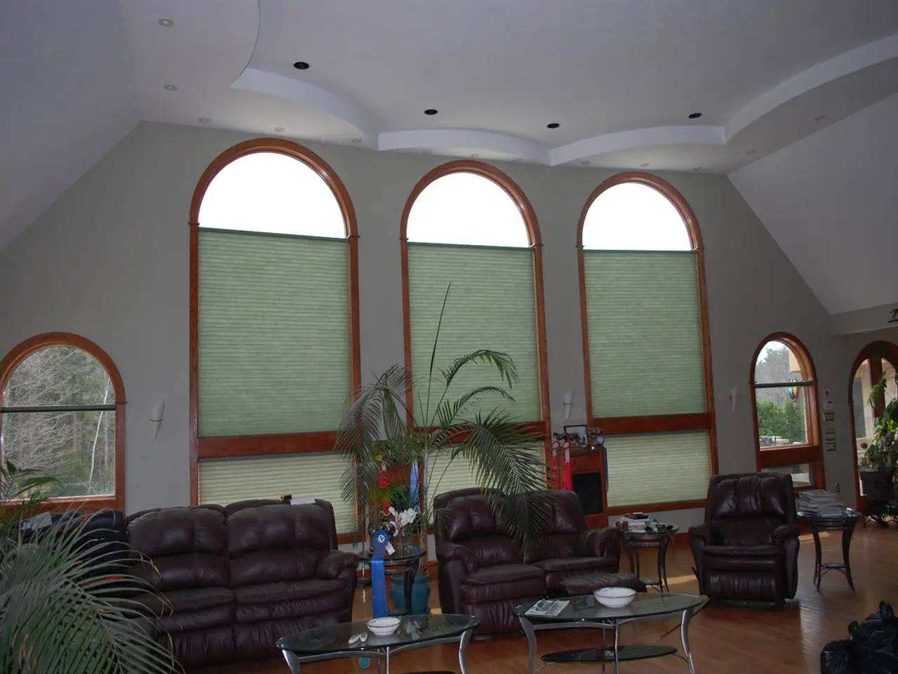 Duette Cellular Shades in living room