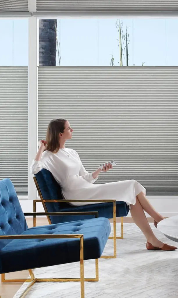 motorized shades on 4 windows in a living room