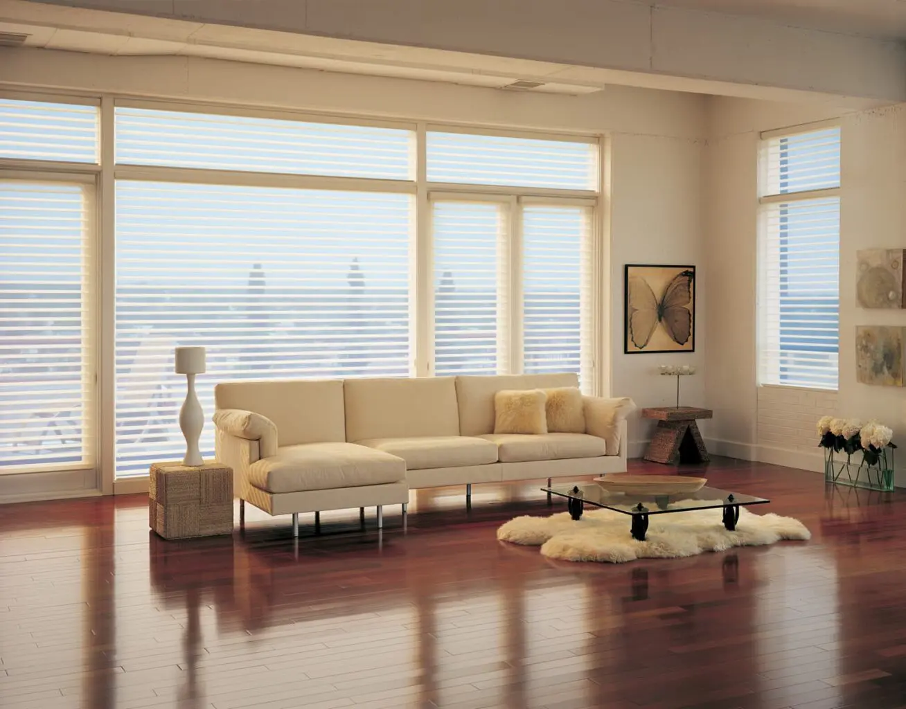 Silhouette® Window Shadings