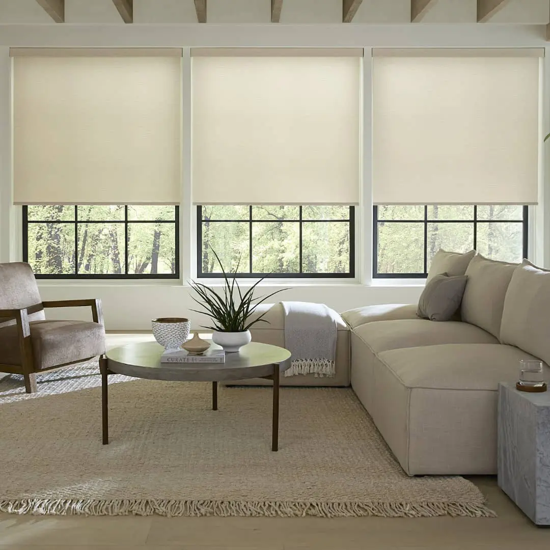 light-filtering shades in a living room