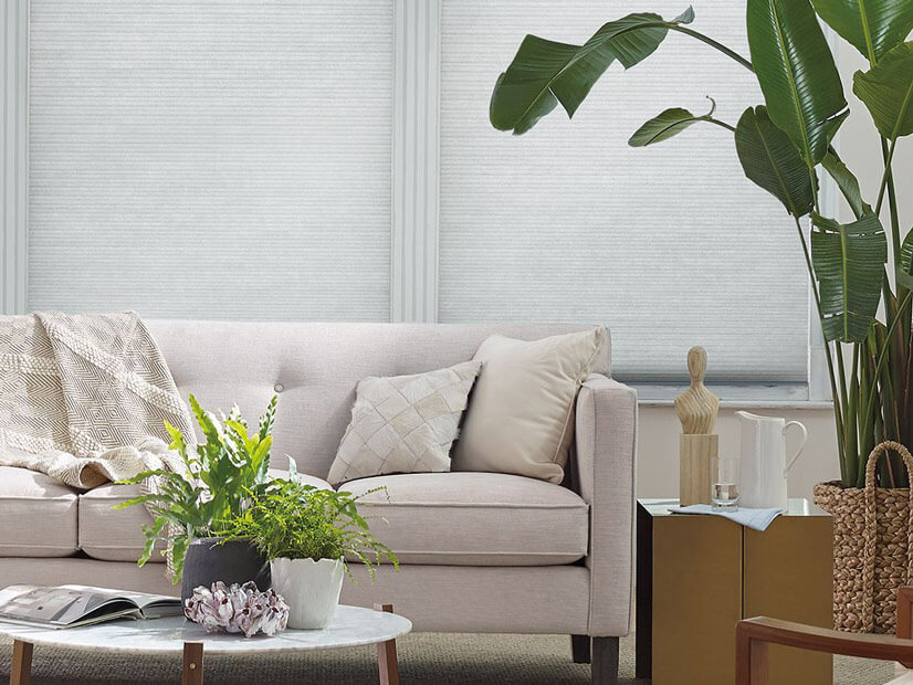 Applause Honeycomb Shades