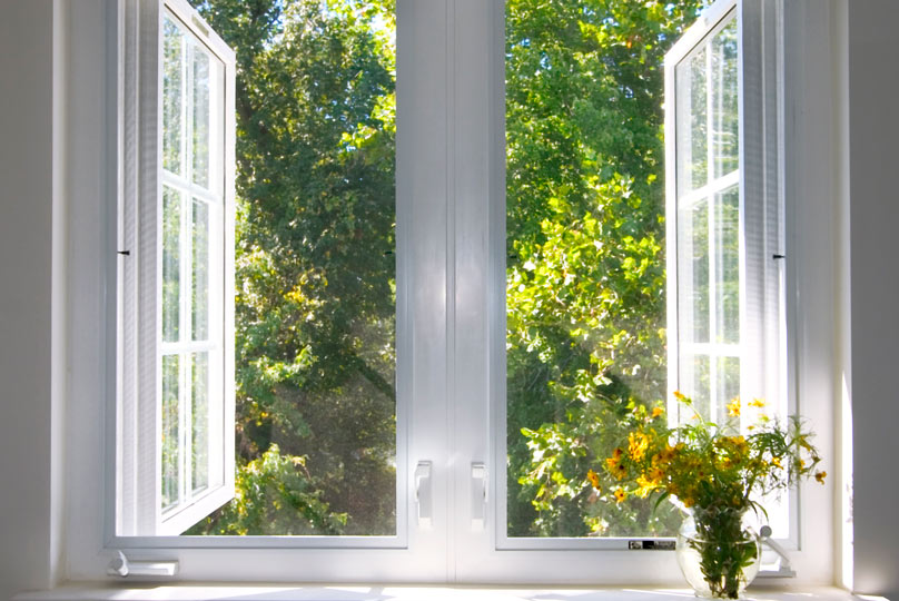 Casement Window