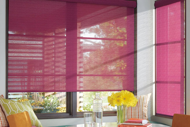 Designer Roller Shade
