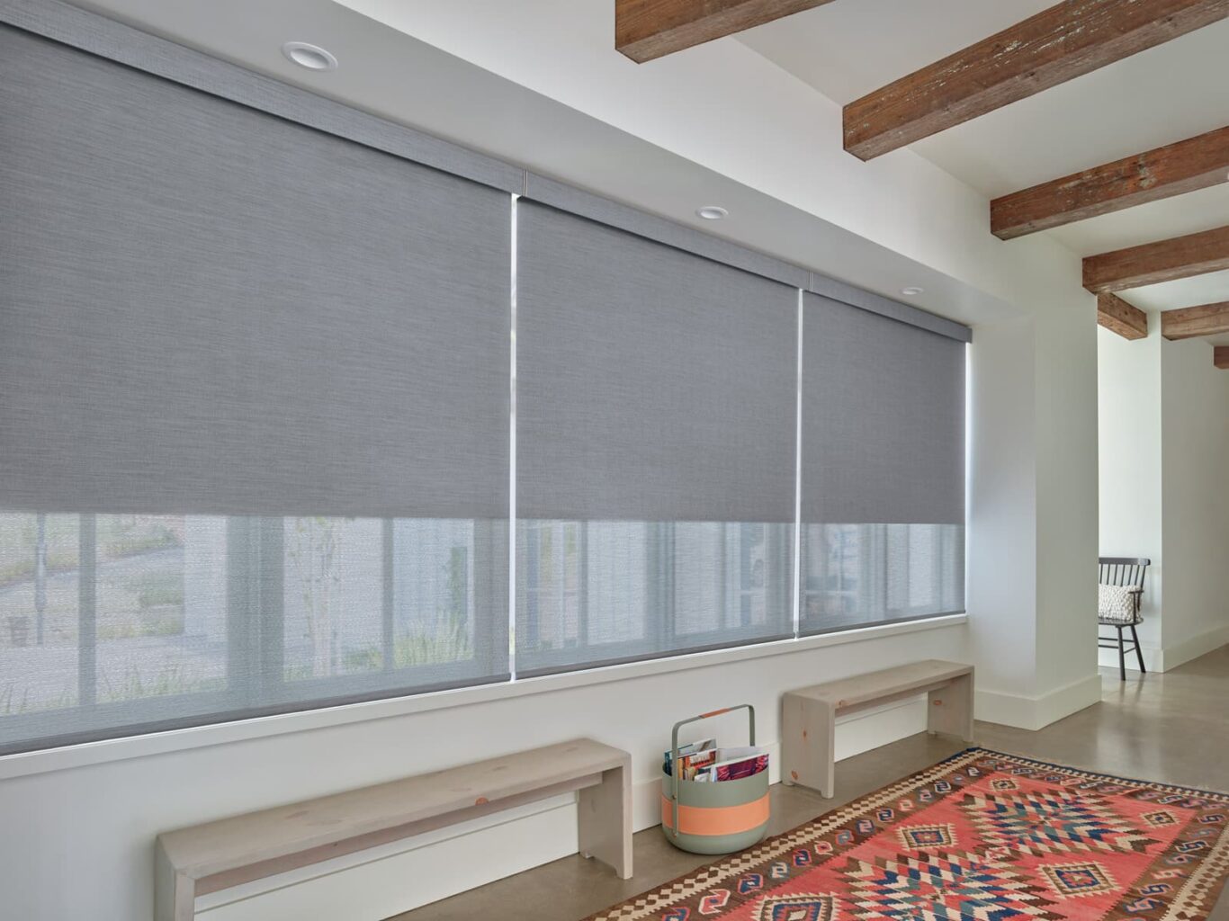 Designer Roller Shades