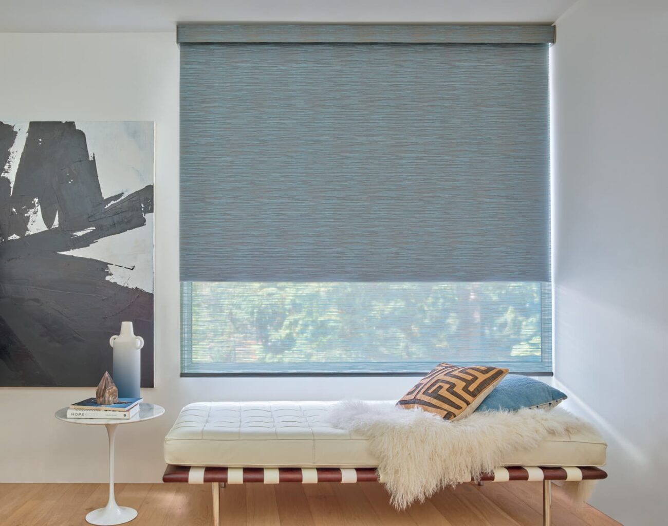 Designer Roller Shades