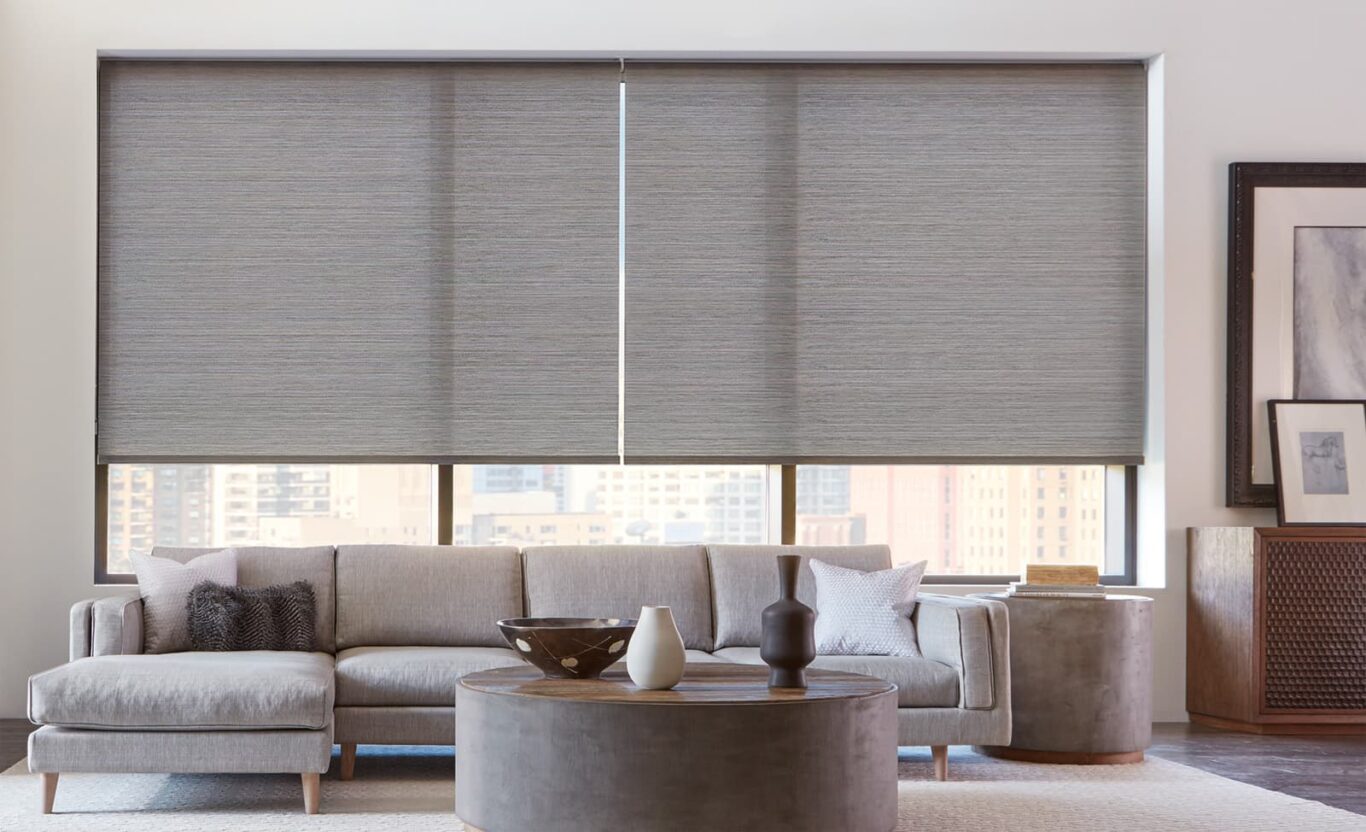 Designer Roller Shades