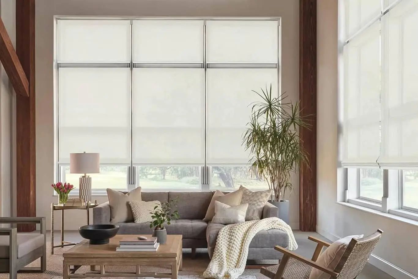 Designer Screen Shades on living room windows