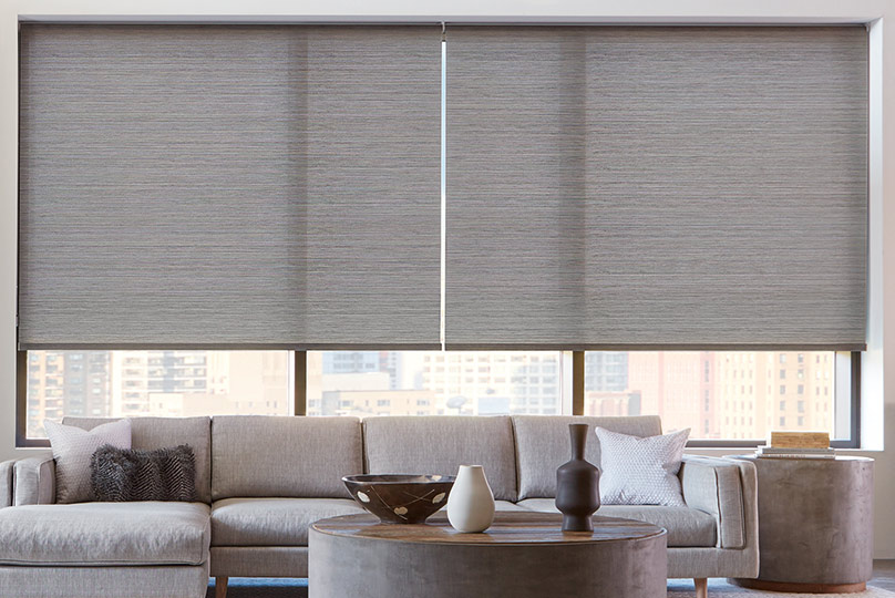 Designer Roller Shades