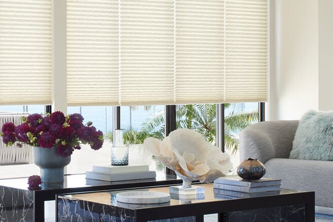 Duette Cellular Shades in India Silk