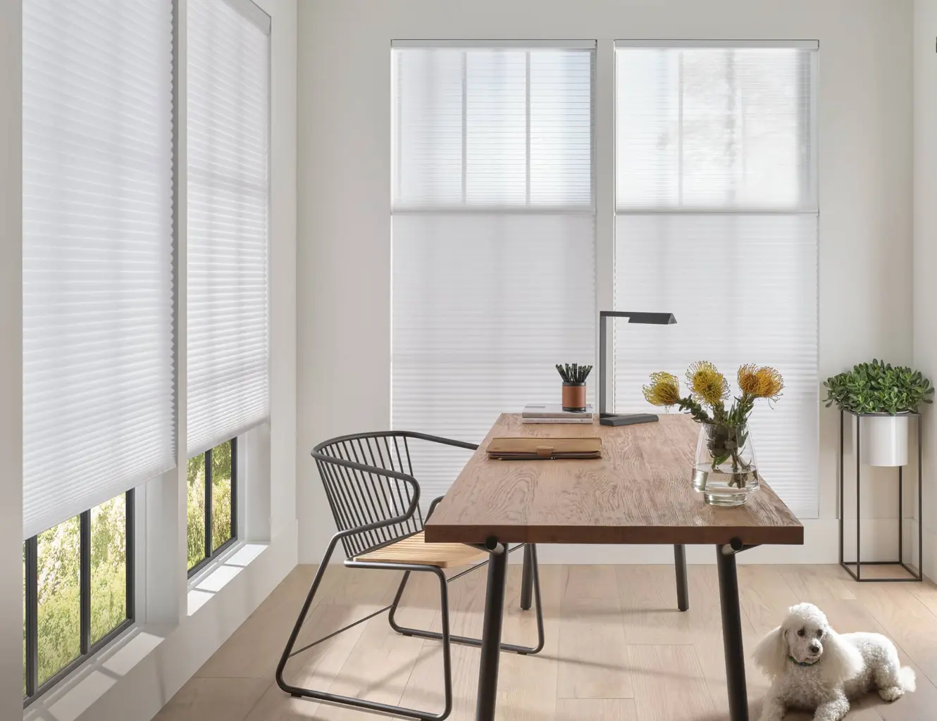 Duette® Honeycomb Shades