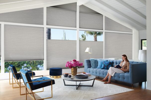 Duette Honeycomb Shades calypso livingroom model Duette® Honeycomb Shades