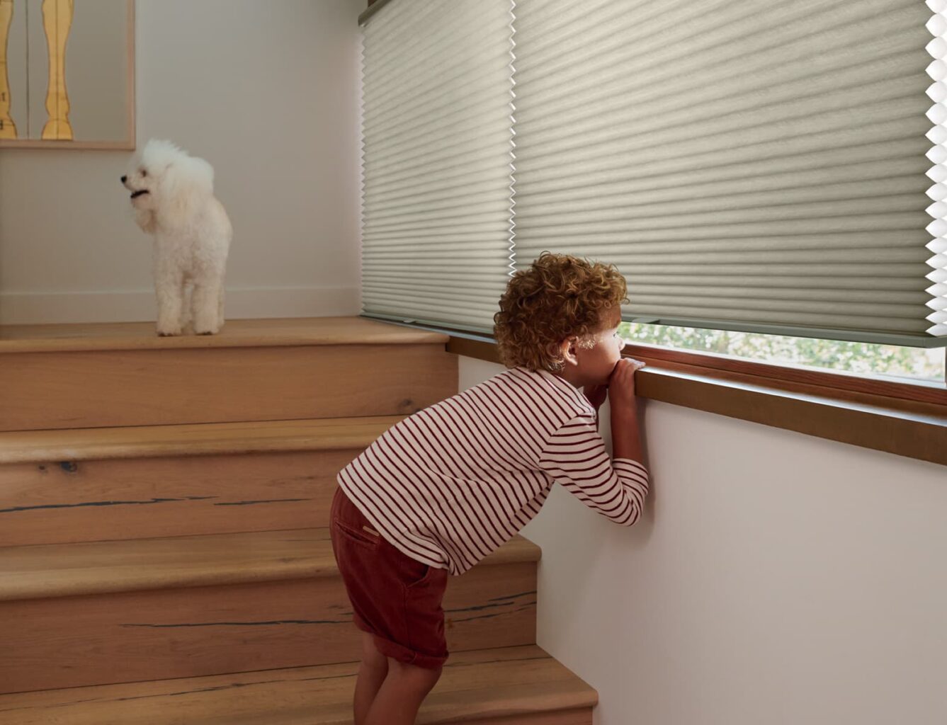 Kid-safe Duette Honeycomb Shades