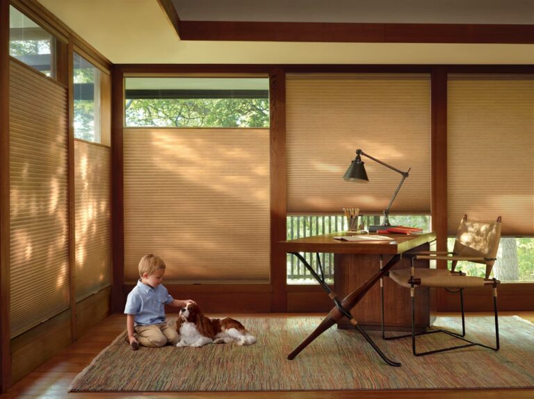 Hunter Douglas Celluar Shades, EnergyEfficient