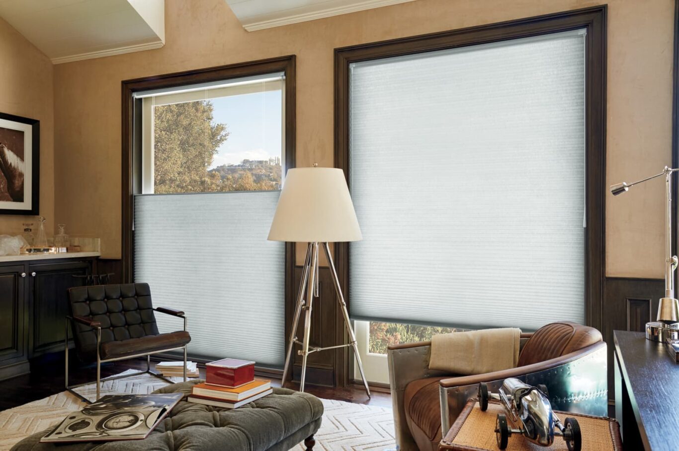 Duette® Honeycomb Shades