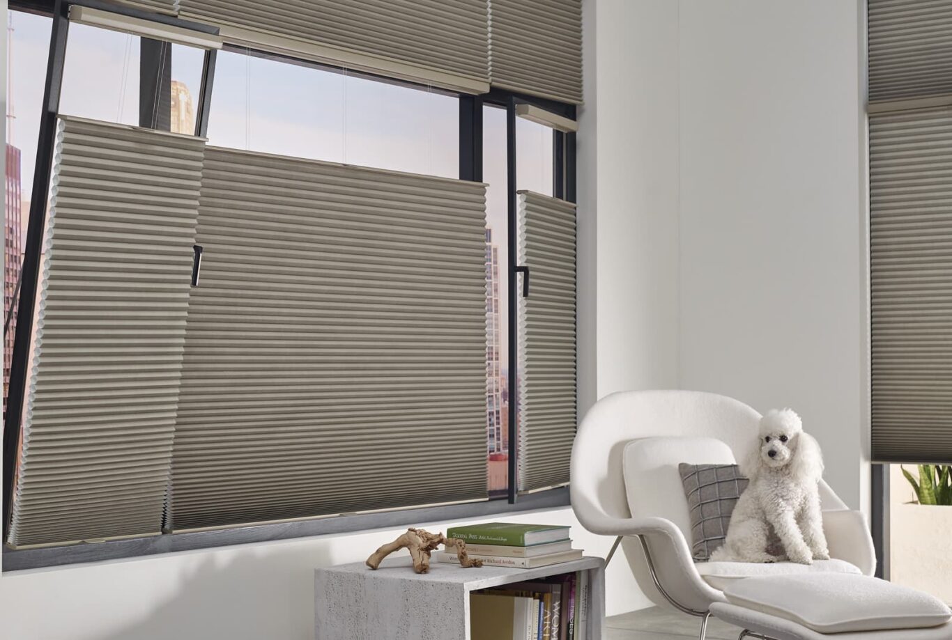 Duette® Honeycomb Shades