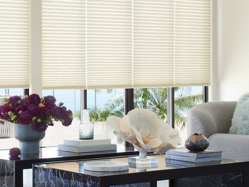 living room window with Duette Honeycomb Shades