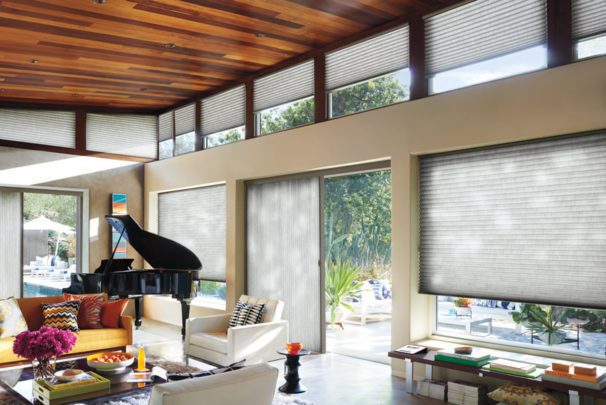 Duette Elan Honeycomb Shades