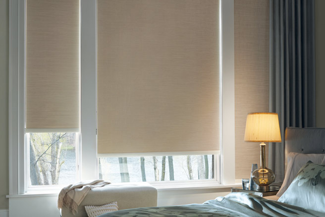 Hunter Douglas Designer Roller Shades