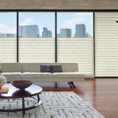 Hunter Douglas Shades