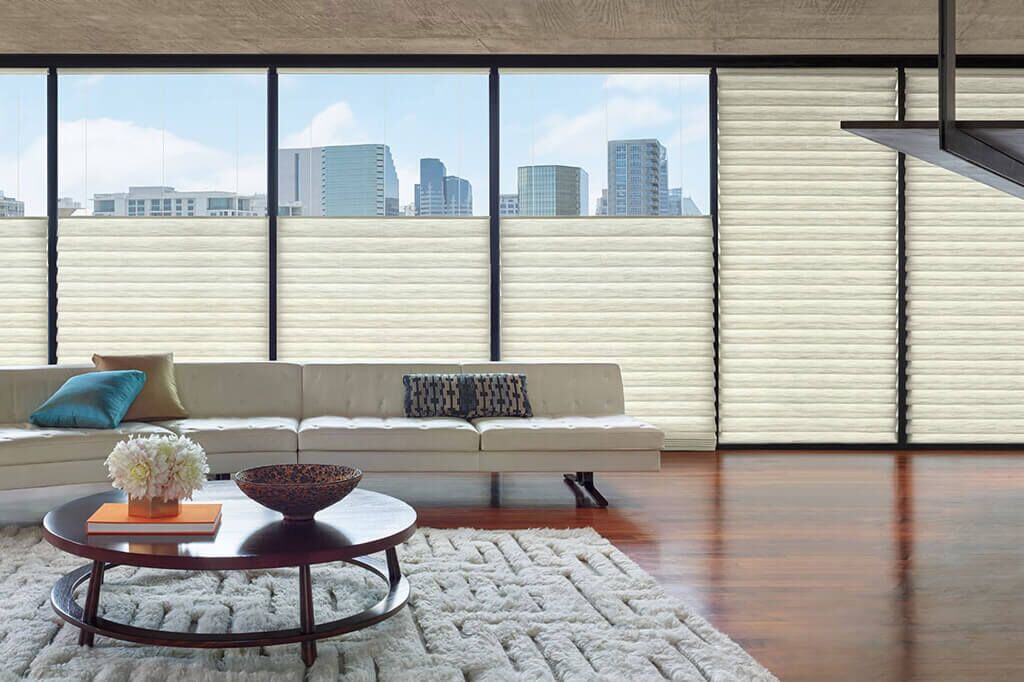 Hunter Douglas Shades