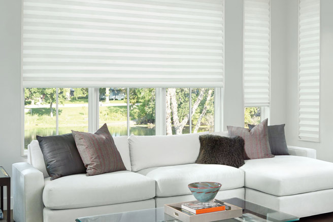 Hunter Douglas Solera Roman Shade