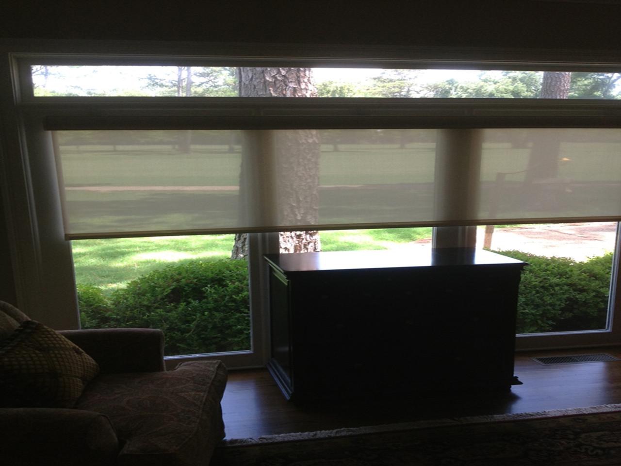 Screen Shades in living room