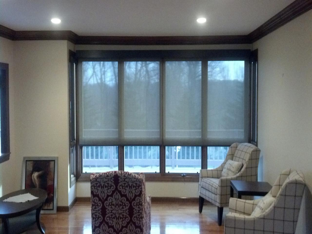 Screen roller shades in living room