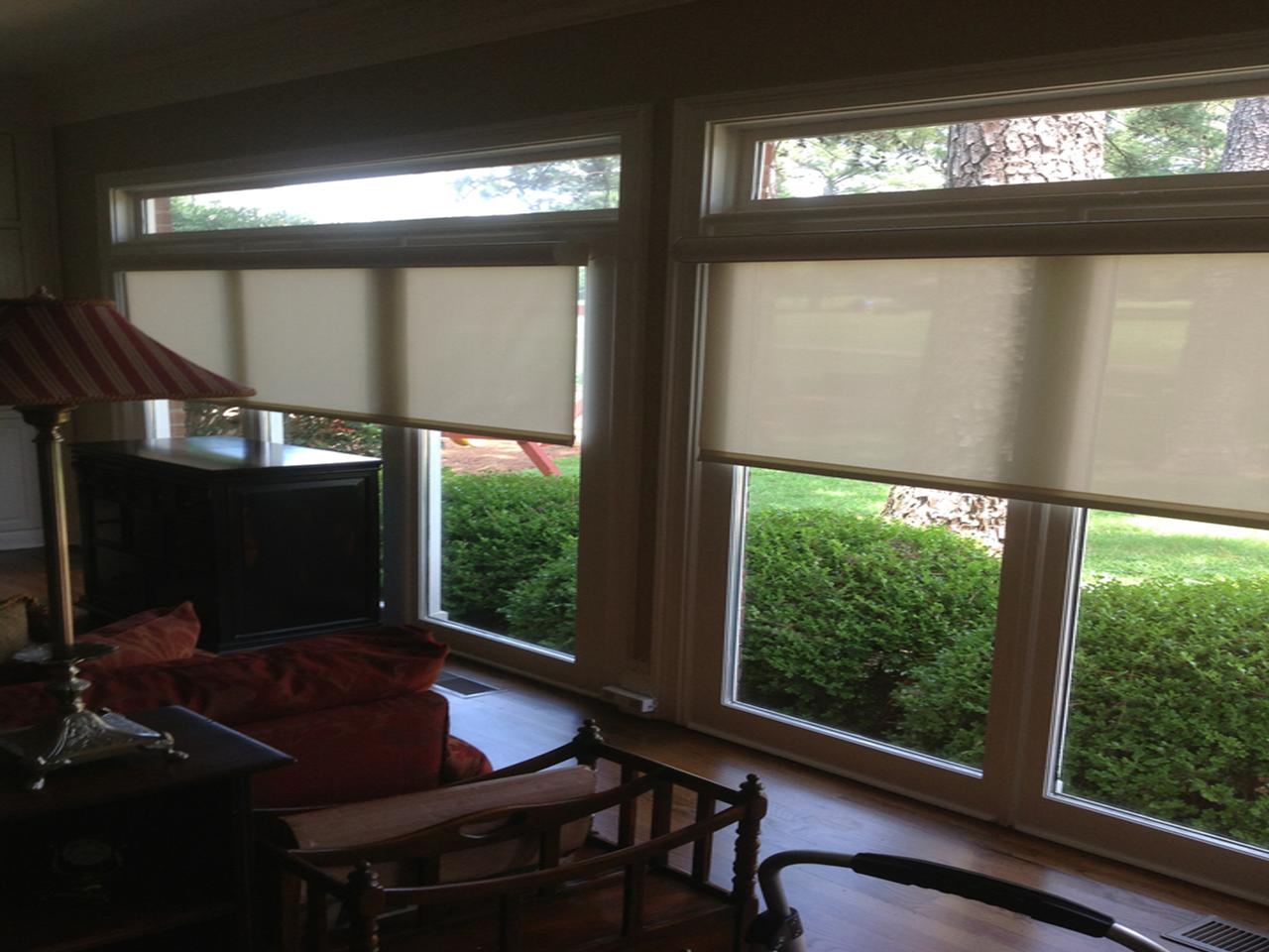Screen roller shades in living room