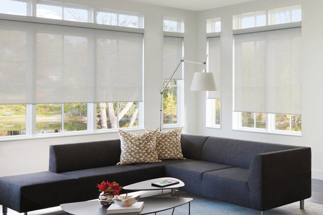 Light colored Designer Screen Shades in a living room