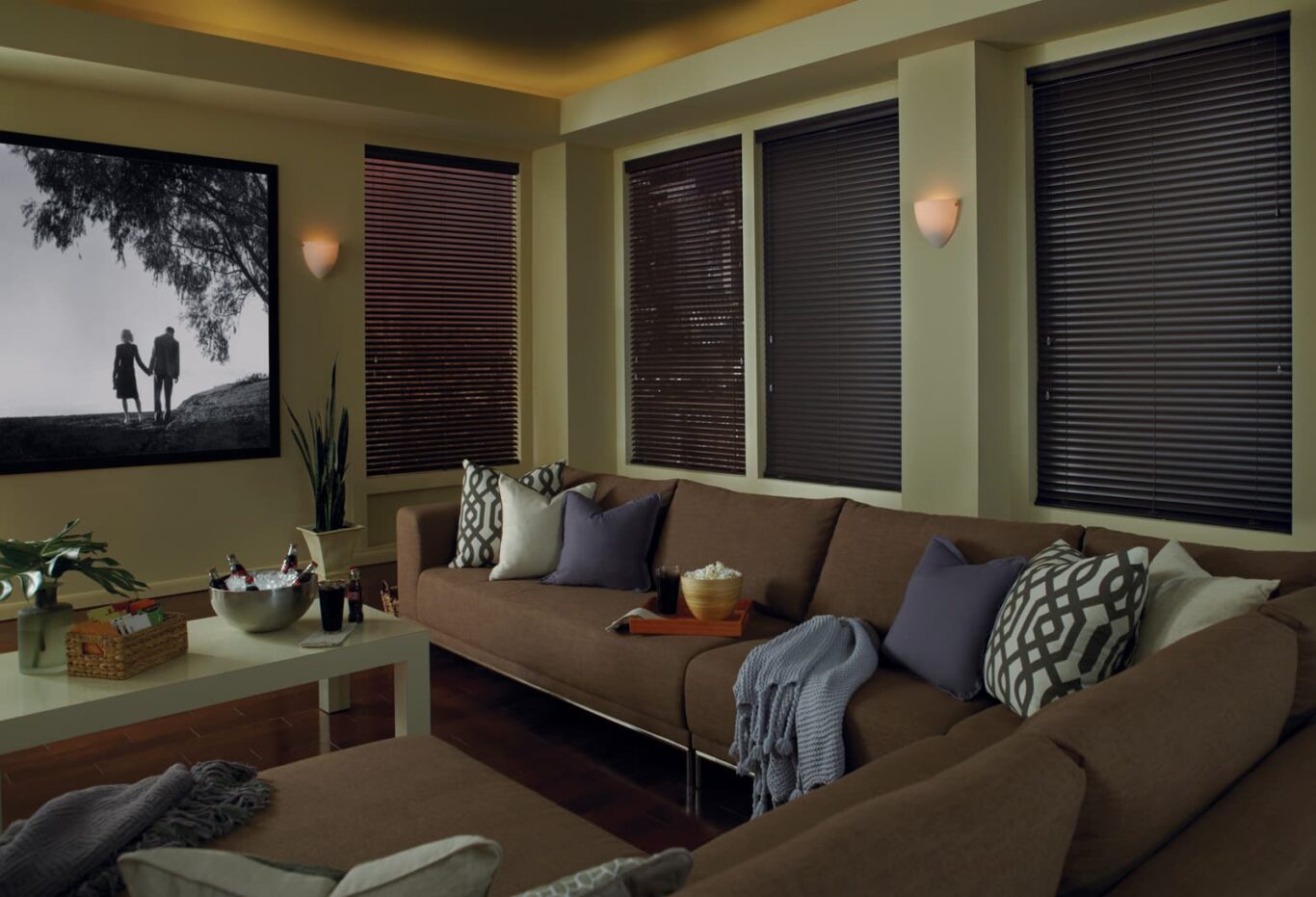 Modern Precious Metals aluminum blinds