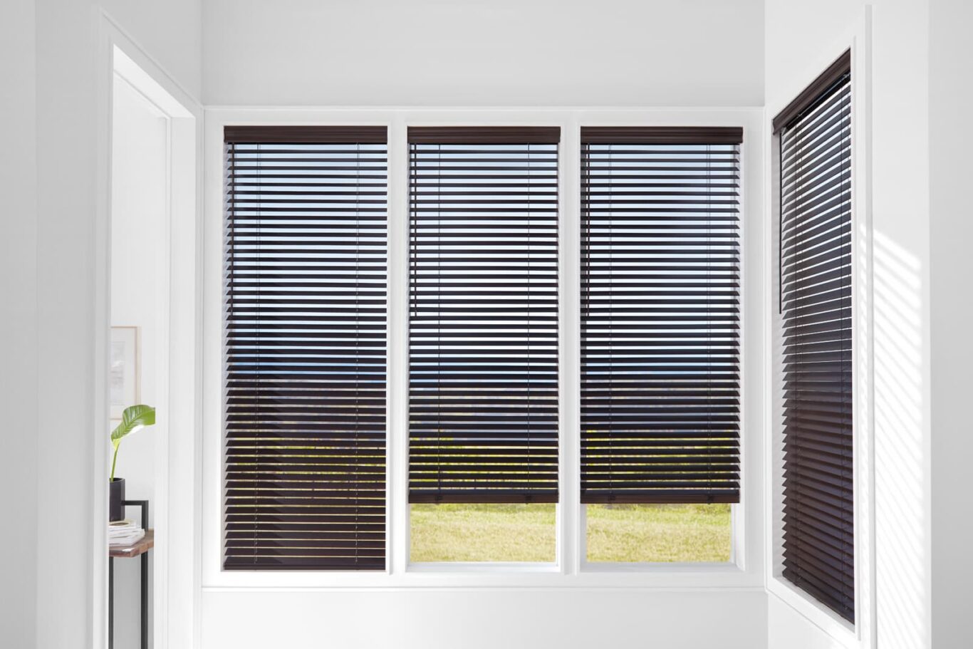 Parkland Wood Blinds