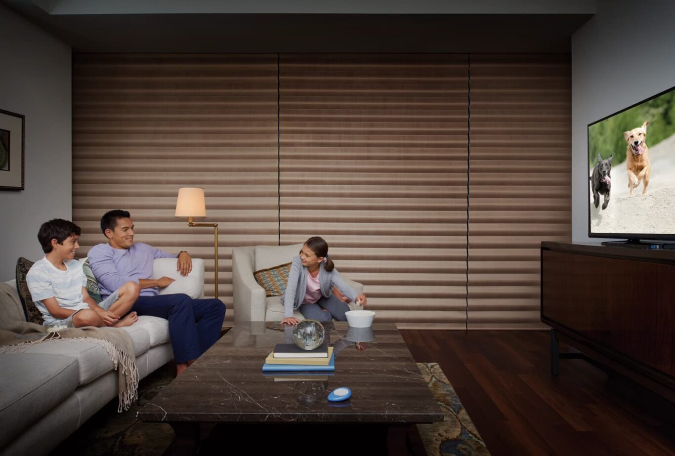 Pirouette® Window Shadings