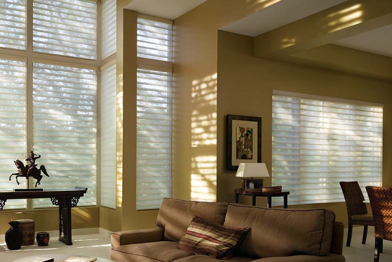 Hunter Douglas Shades