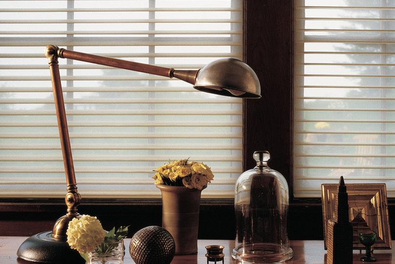 Hunter Douglas Silhouette Easy Rise Shades