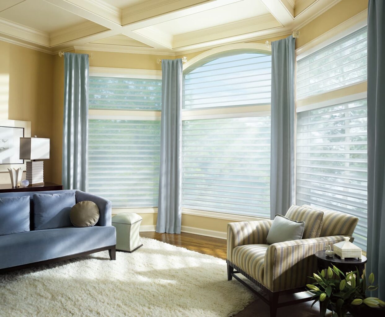 Silhouette® Window Shadings