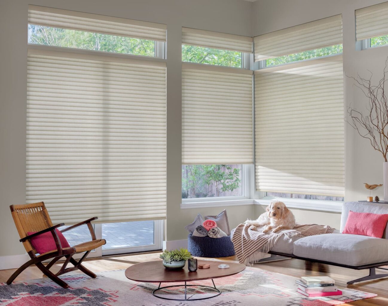 Sonnette® Cellular Roller Shades