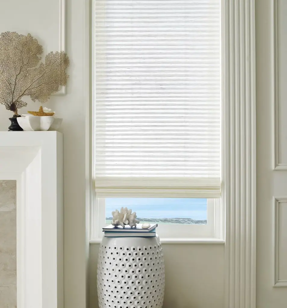 motorized window shades