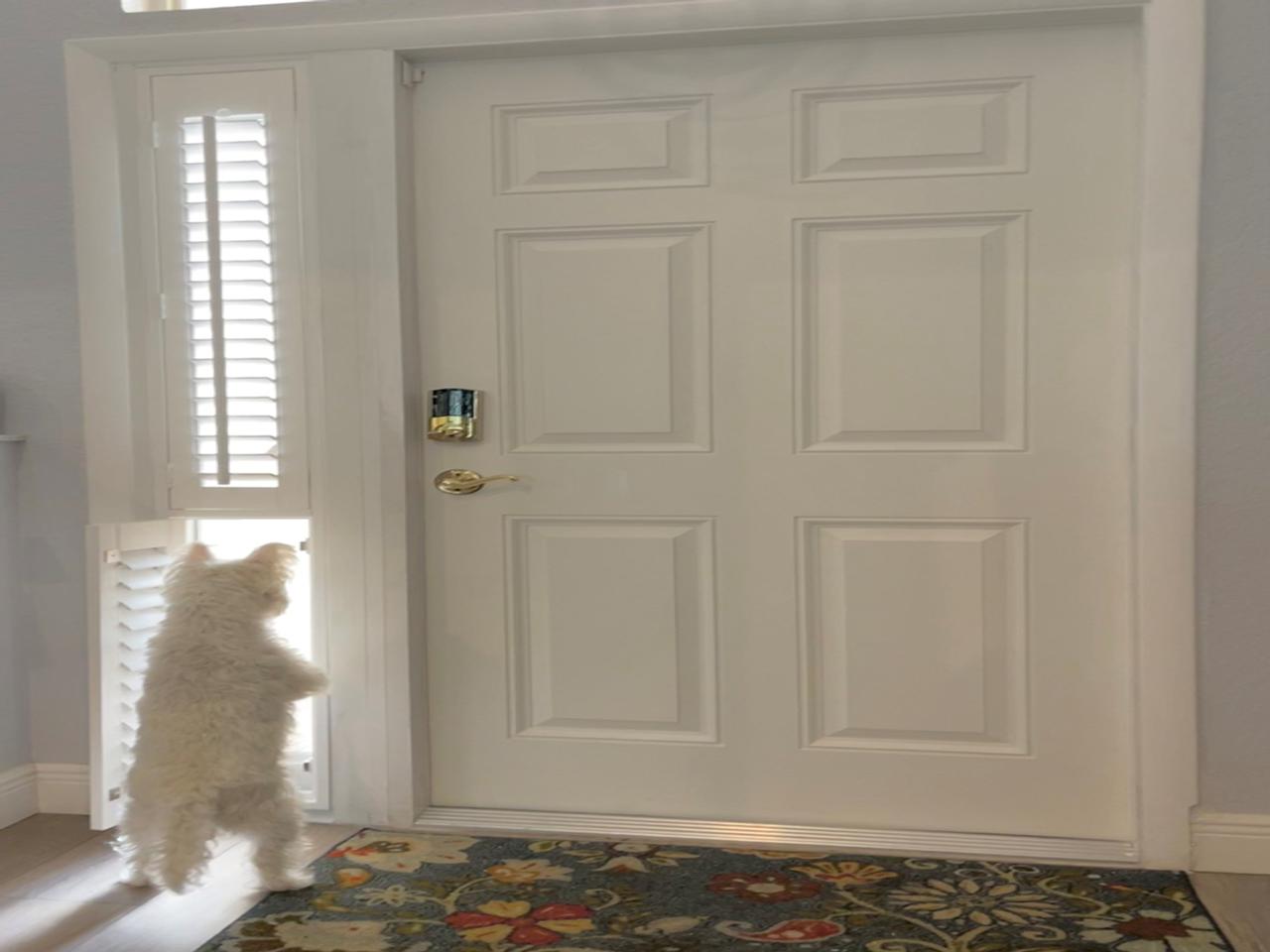 Sidelights by front door with interior shutters