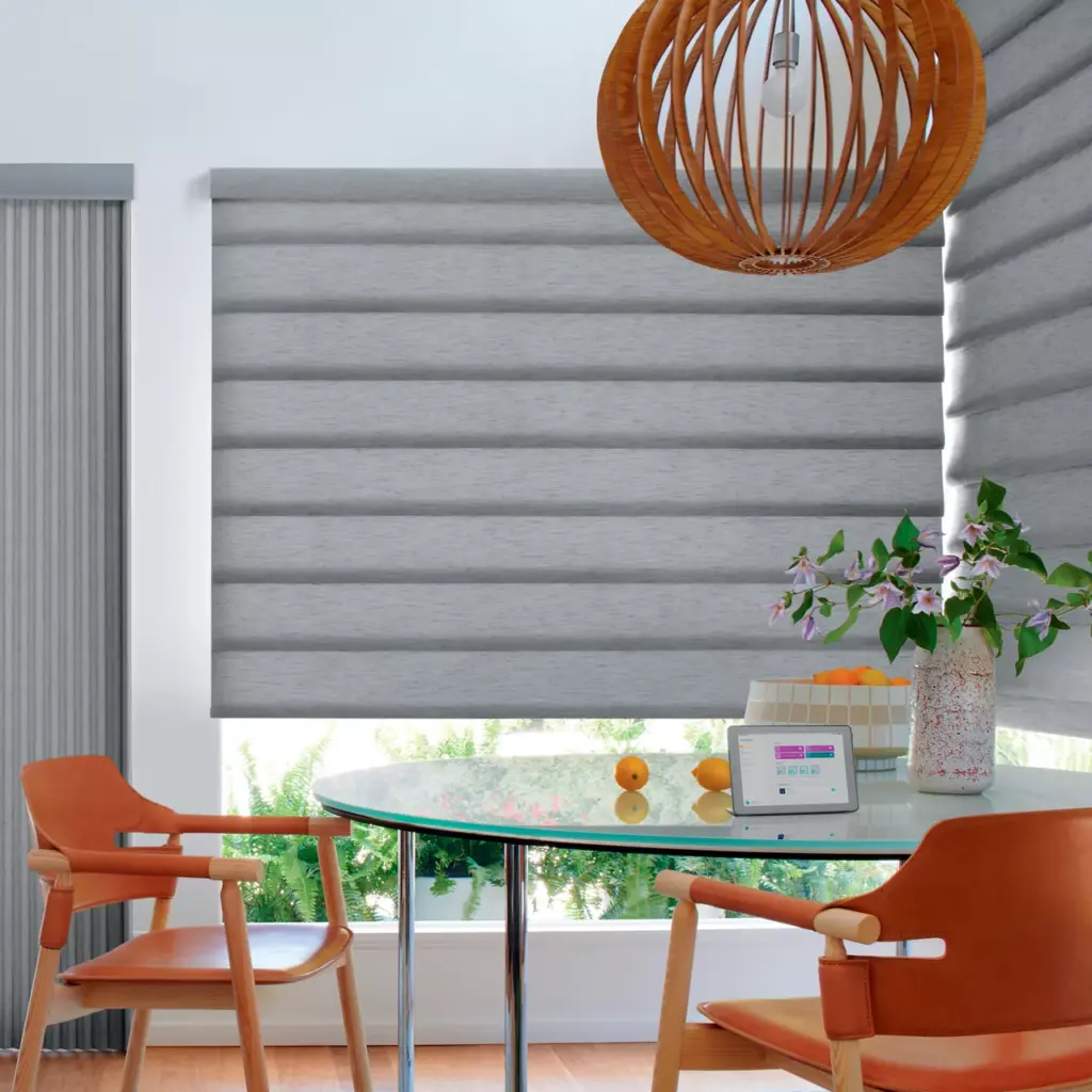 Vignette Modern Roman Shades with PowerView automation